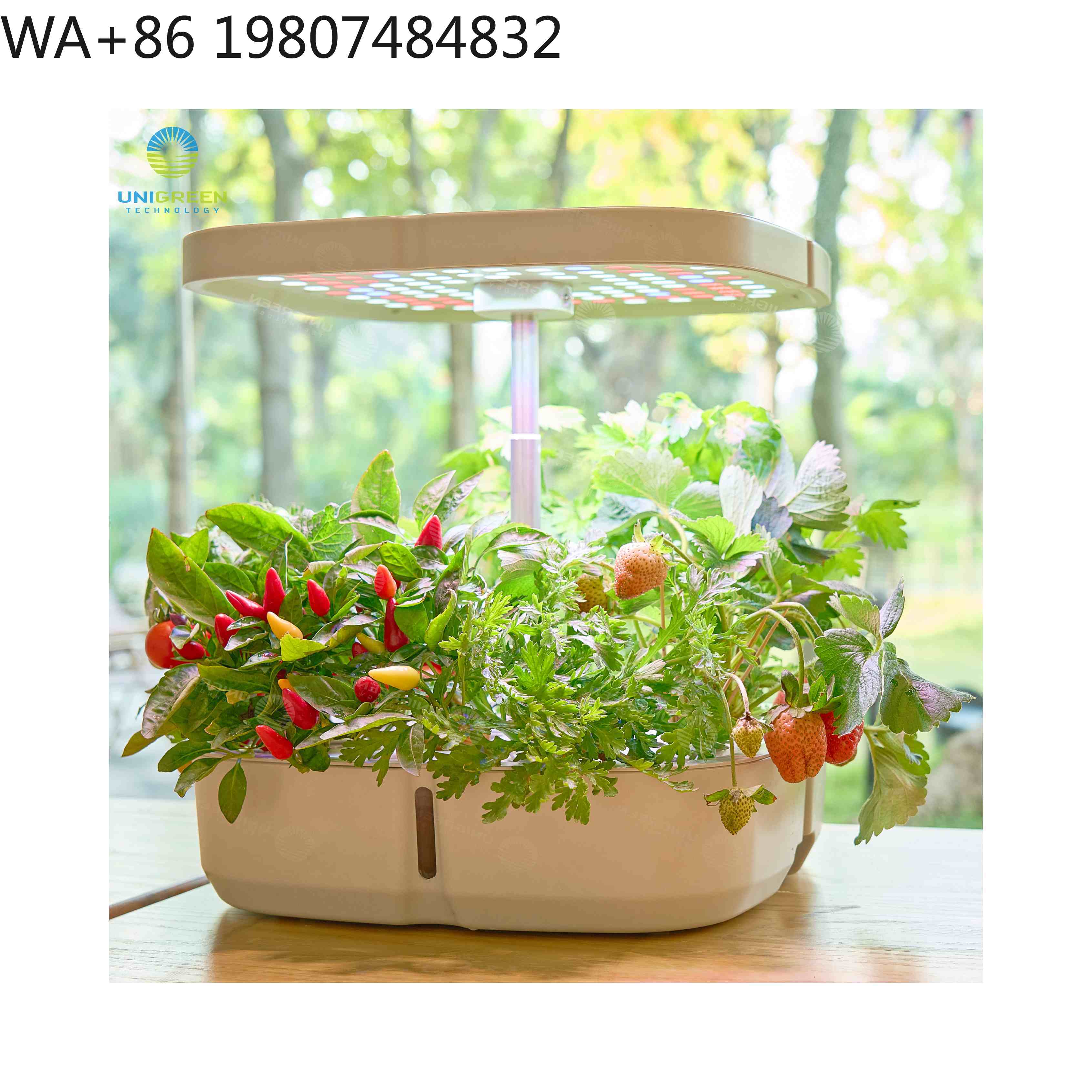 Hydroponic Grow Pod - صندوق زراعة مائي صغير بسعة 8