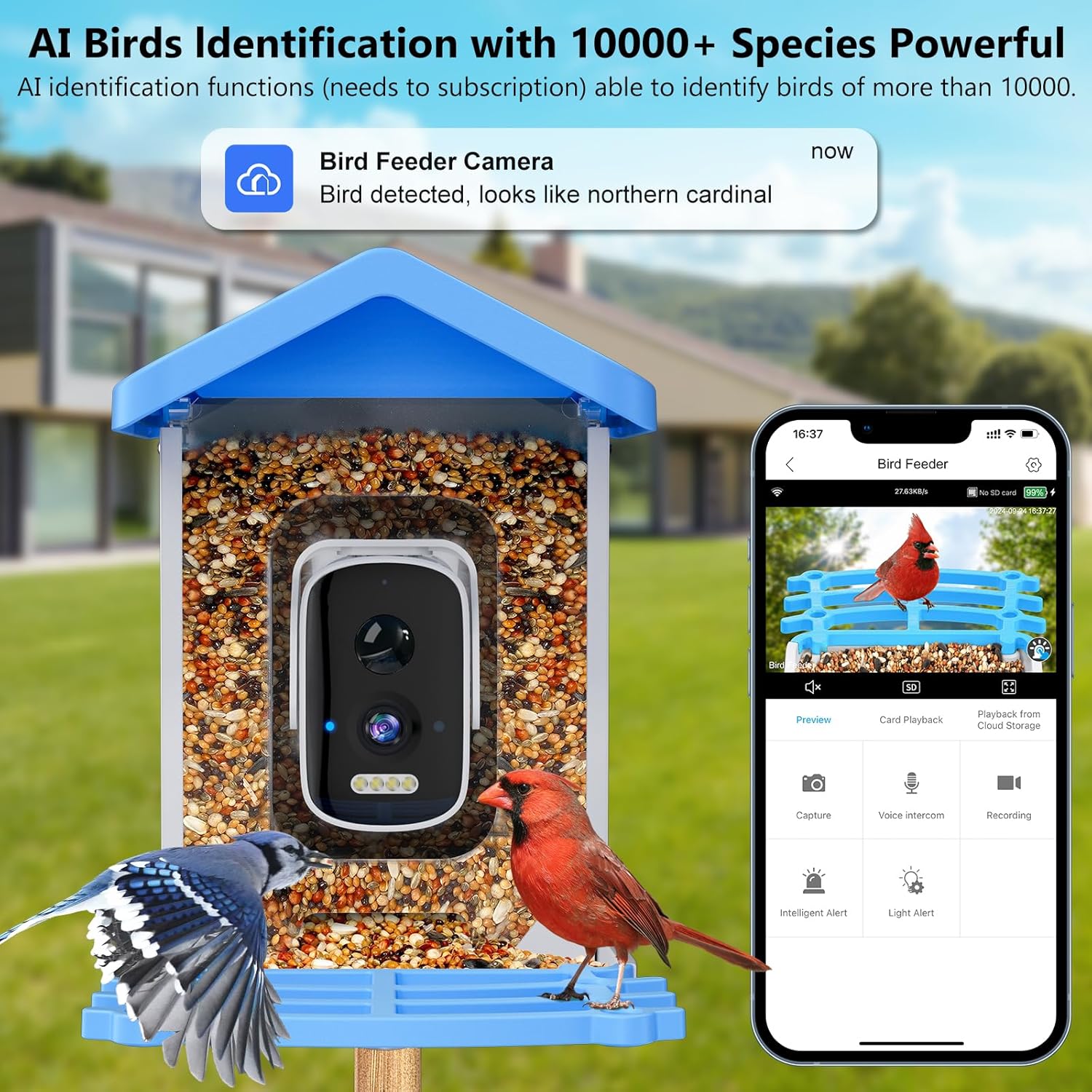 جهاز تغذية الطيور الذكي مع كام - مراجعة Smart Garden Ai وسعره