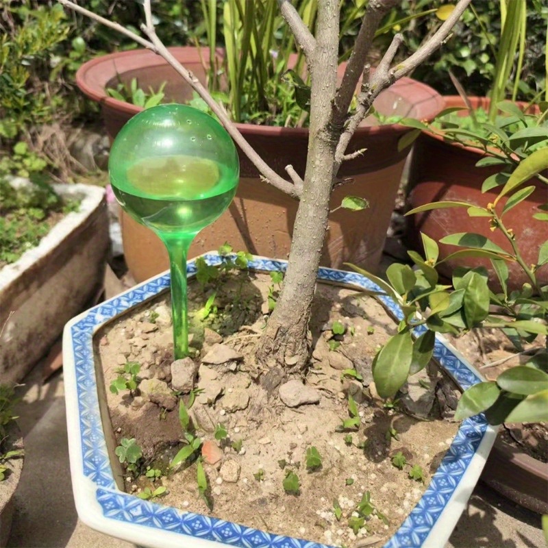 6 قطع من كرات الري الذاتي للنب - مراجعة Smart Garden Auk وسعره