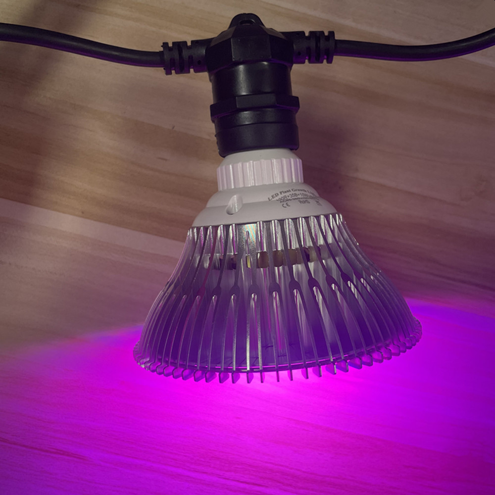 سلسلة إضاءة LED بطول 10 أمتار، - مراجعة Smart Garden Lamp وسعره