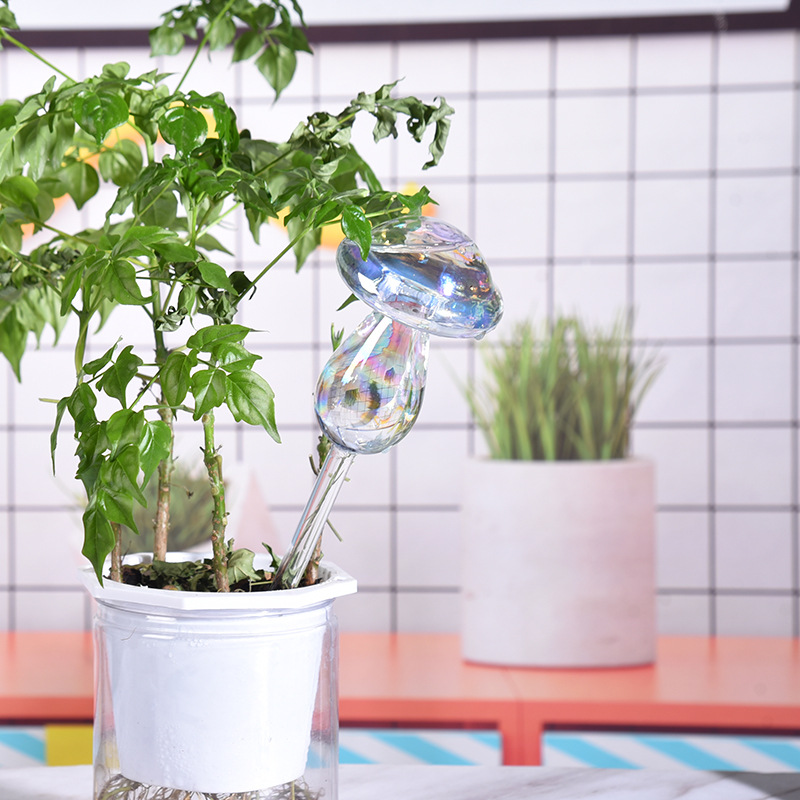 1/2 قطعة القش الزجاجي التلقائي - مراجعة Smart Garden Auk وسعره