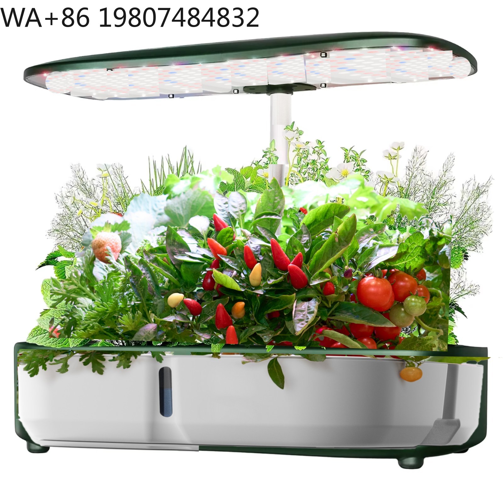 صندوق زراعة مائي صغير بسعة 8 و - مراجعة Hydroponic Grow Pod وسعره