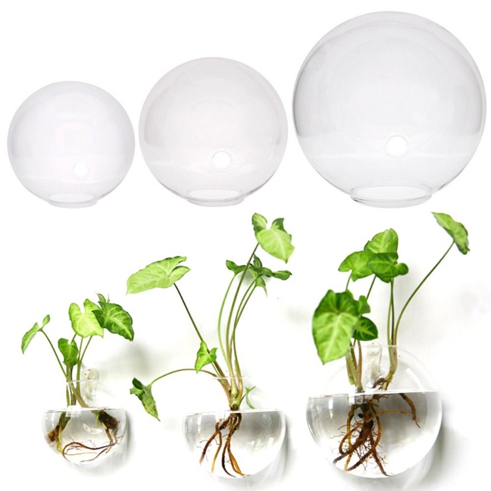 زهرية زجاجية شفافة ، معلقة على - مراجعة Hydroponic Grow Pod وسعره