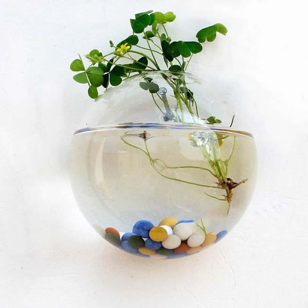 زهرية زجاجية شفافة ، معلقة على - مراجعة Hydroponic Grow Pod وسعره