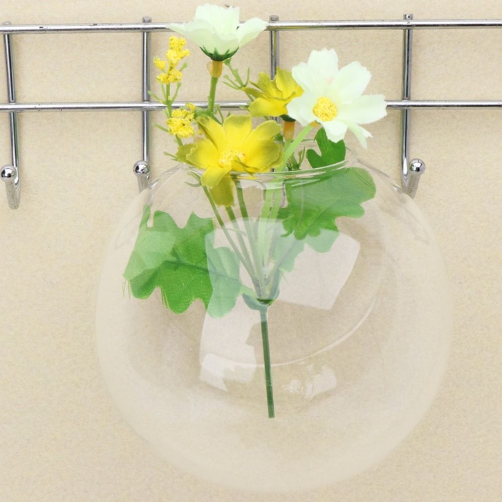 زهرية زجاجية شفافة ، معلقة على - مراجعة Hydroponic Grow Pod وسعره