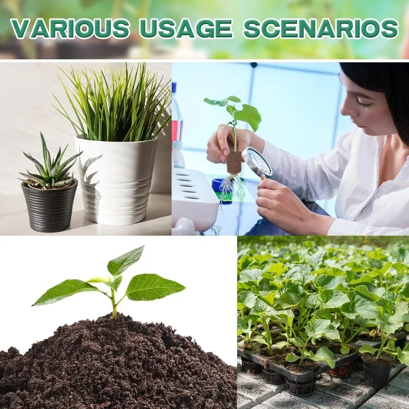 مجموعة إسفنجية لبدء زراعة الشت - مراجعة Hydroponic Grow Pod وسعره