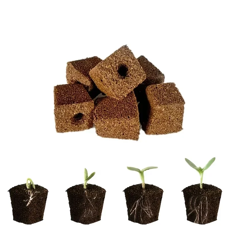 مجموعة إسفنجية لبدء زراعة الشت - مراجعة Hydroponic Grow Pod وسعره