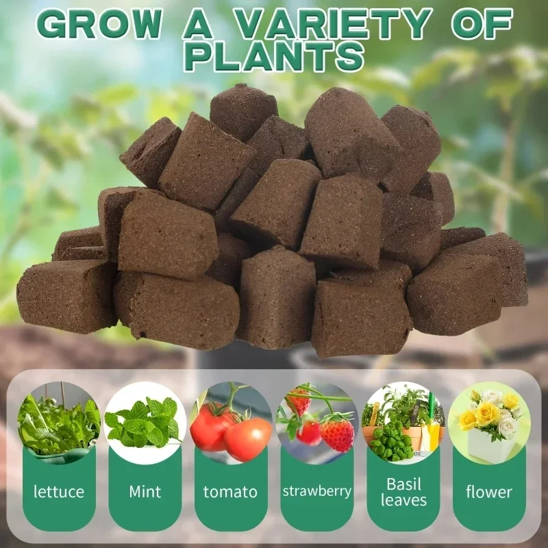 مجموعة إسفنجية لبدء زراعة الشت - مراجعة Hydroponic Grow Pod وسعره