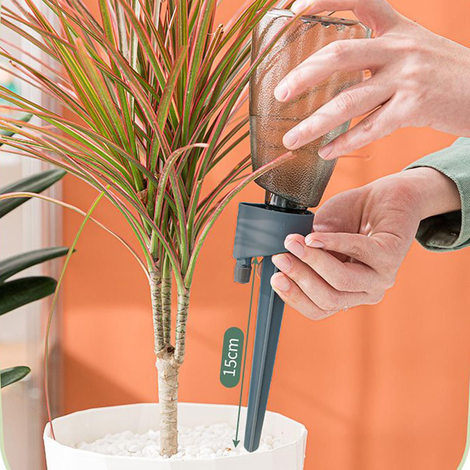 6 قطع من أجهزة الري الأوتوماتي - مراجعة Smart Garden Auk وسعره