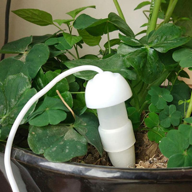 جهاز سقي النبات الأوتوماتيكي،  - مراجعة Smart Garden Auk وسعره