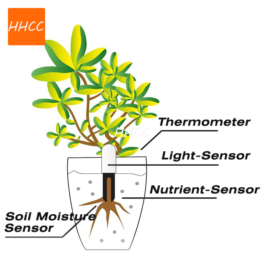 HHCC زهرة الرعاية ماكس الذكية  - مراجعة Smart Garden Xiaomi وسعره