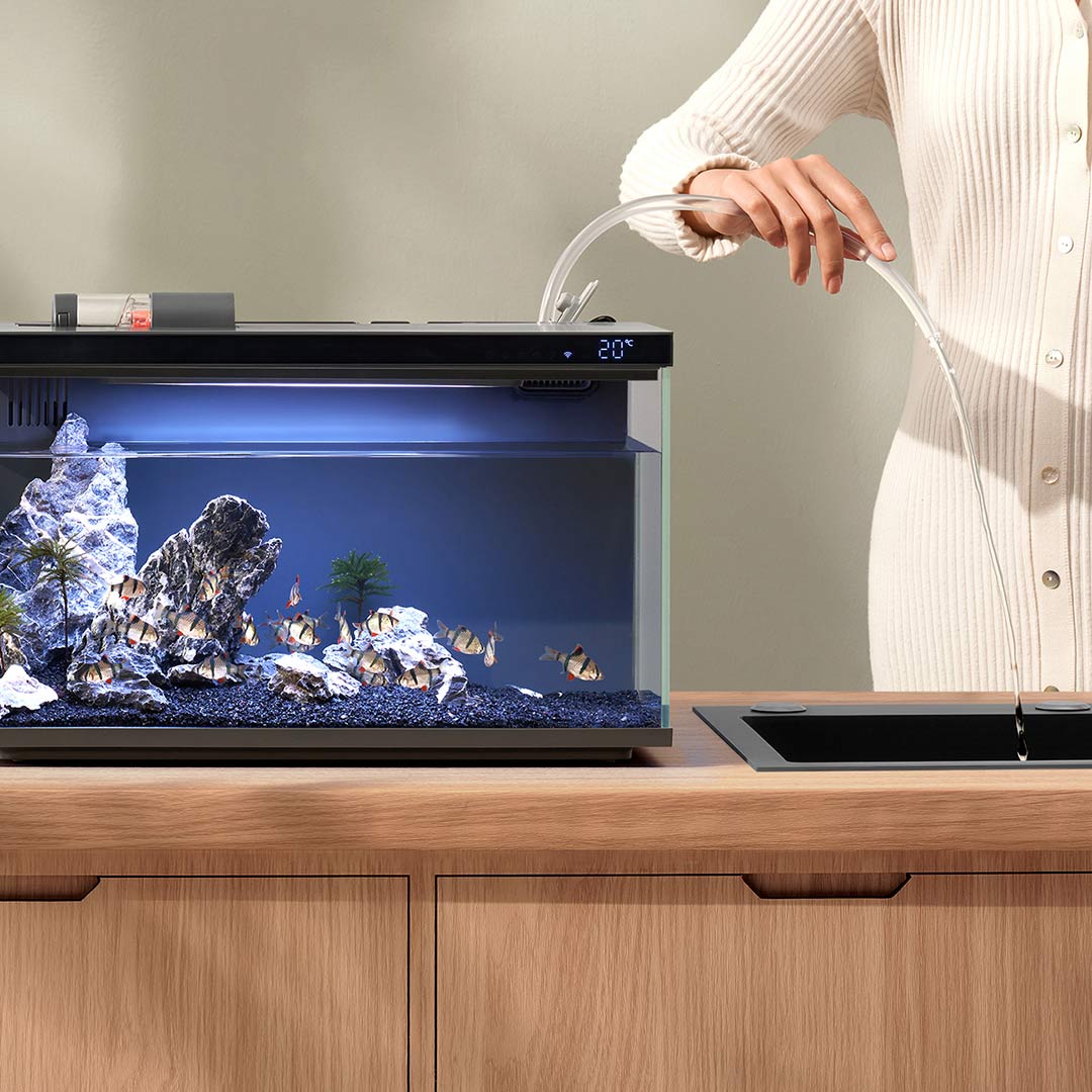 Xiaomi Mijia Smart Fish Tank M - مراجعة Smart Garden Xiaomi وسعره