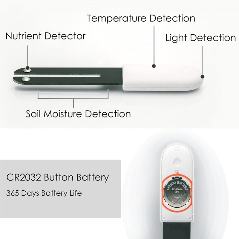 كاشف البستنة HHCC لـ شاومي ميل - مراجعة Smart Garden Xiaomi وسعره