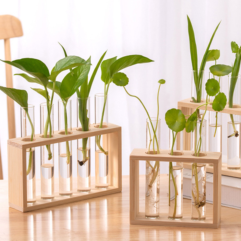 حاوية النباتات المائية مع إطار - مراجعة Hydroponic Grow Pod وسعره