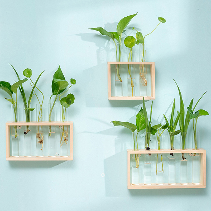 حاوية النباتات المائية مع إطار - مراجعة Hydroponic Grow Pod وسعره