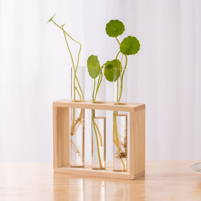 حاوية النباتات المائية مع إطار - مراجعة Hydroponic Grow Pod وسعره