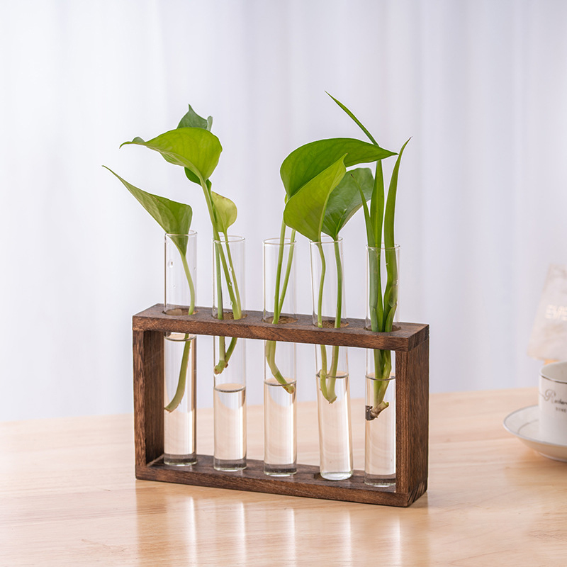 حاوية النباتات المائية مع إطار - مراجعة Hydroponic Grow Pod وسعره