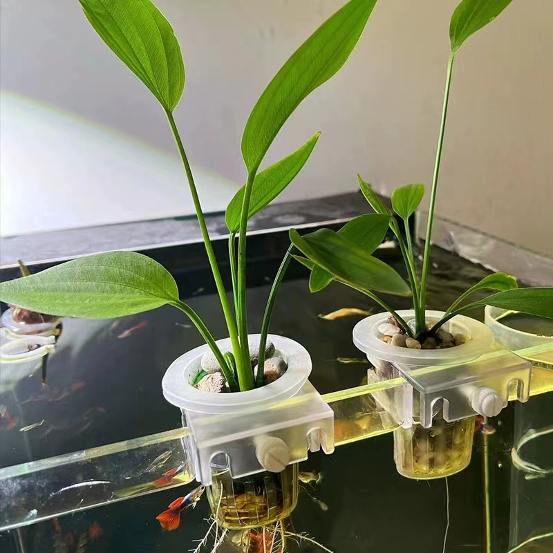 شنقا دعم الزراعة المائية لخزان - مراجعة Hydroponic Grow Pod وسعره